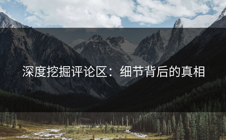 深度挖掘评论区：细节背后的真相